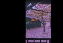 【323款】竖屏治愈系乡村乡下怀旧视频素材