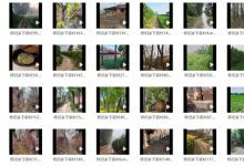 【1100款】乡下农村风景老房子怀旧视频素材