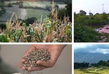 【112款】故乡家乡农民种植庄稼农村生活景象怀旧视频素材