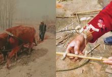 【100款】竖屏8090后年代青春童年时代记忆回忆怀旧视频素材