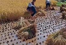 【100款】横屏80后90后童年少儿时期记忆回忆怀旧视频素材