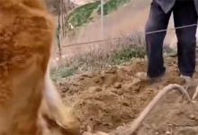 【105款】横屏80后90后孩童时期记忆回忆怀旧视频素材