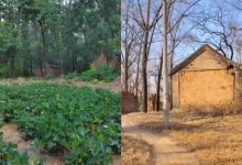 【100款】乡村农村老房子荒凉景象怀旧视频素材