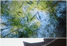 【50款】自然空境寺庙檐廊古风怀旧视频素材