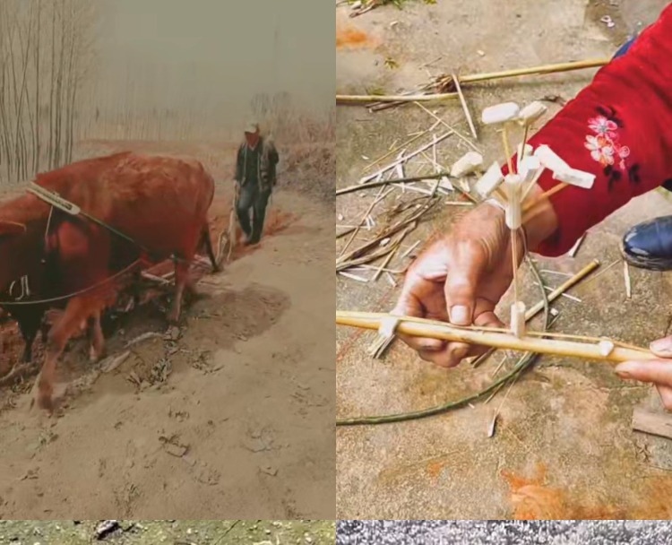 【100款】竖屏8090后年代青春童年时代记忆回忆怀旧视频素材 第1张