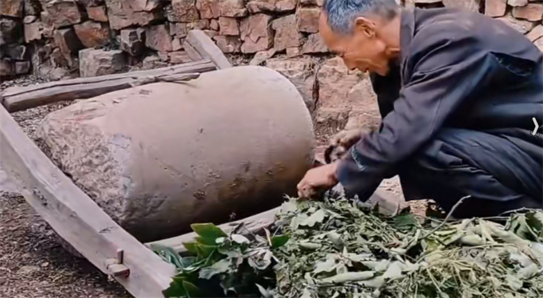 【100款】横屏8090后年代童年时代记忆回忆怀旧视频素材  第2张