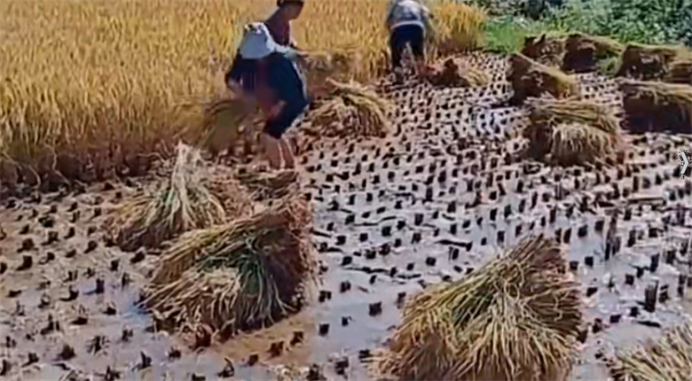 【100款】横屏80后90后童年少儿时期记忆回忆怀旧视频素材 第1张