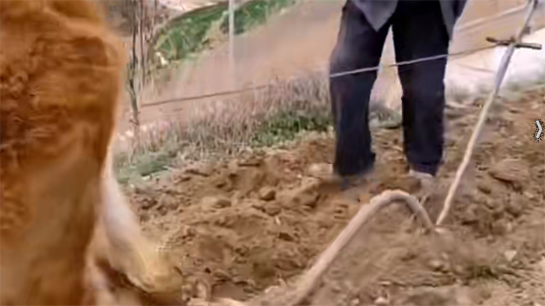 【105款】横屏80后90后孩童时期记忆回忆怀旧视频素材  第1张