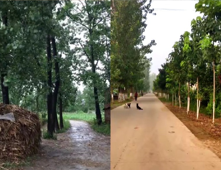 【100款】乡下农村老房子怀旧视频素材  第2张