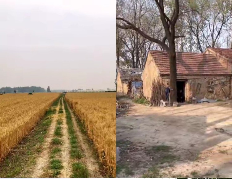 【100款】乡下乡村农村老房子风景怀旧视频素材 第1张