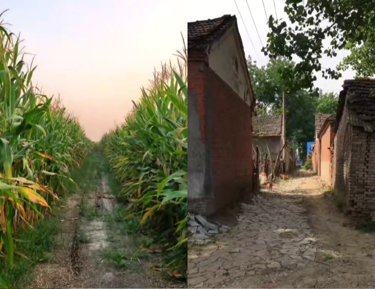 【100款】乡下乡村农村老房子风景怀旧视频素材 第2张