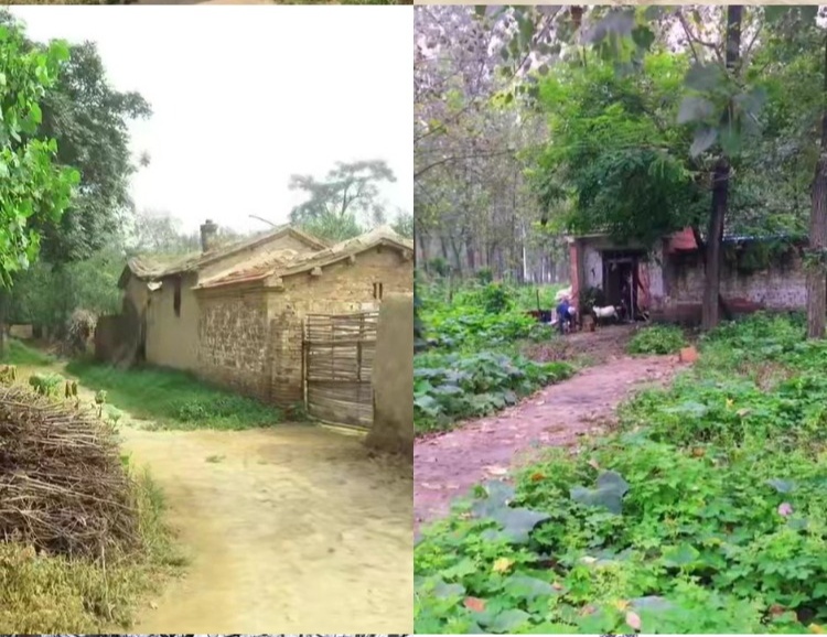 【100款】乡下乡村农村土坯房子乡村道路怀旧视频素材  第2张