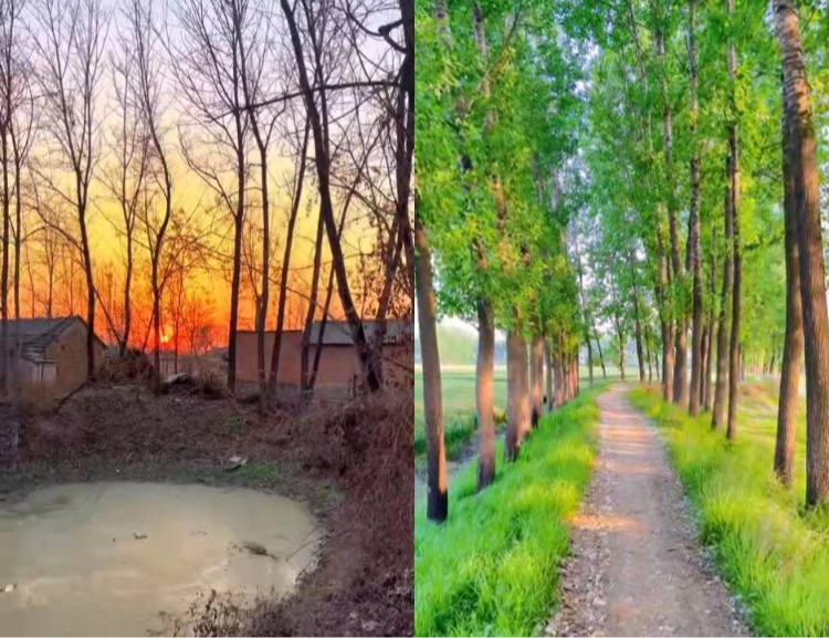 【100款】乡村农村老房子荒凉景象怀旧视频素材 第3张