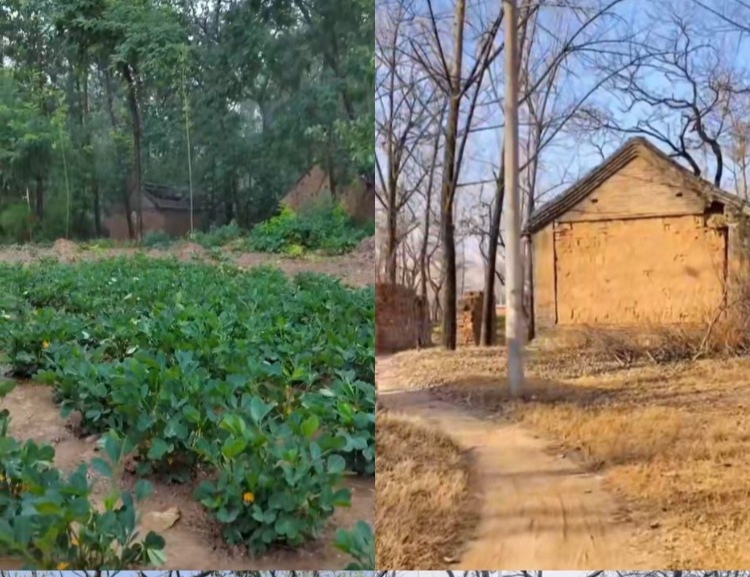 【100款】乡村农村老房子荒凉景象怀旧视频素材 第1张