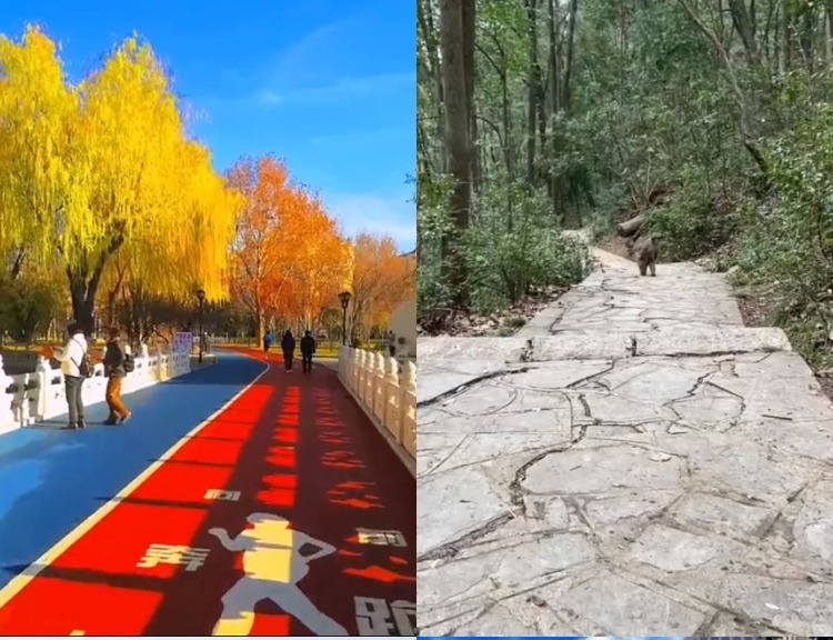 【29款】农村乡镇城市街道古道漫步怀旧视频素材  第2张