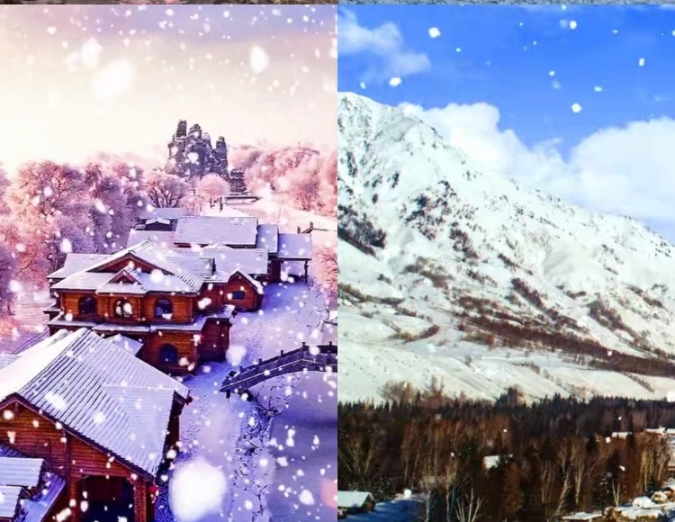 【226款】东北乡村农村冬天雪景下雪怀旧视频素材 第2张