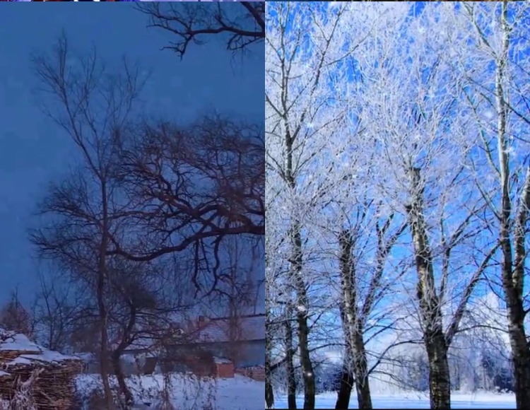 【226款】东北乡村农村冬天雪景下雪怀旧视频素材 第3张
