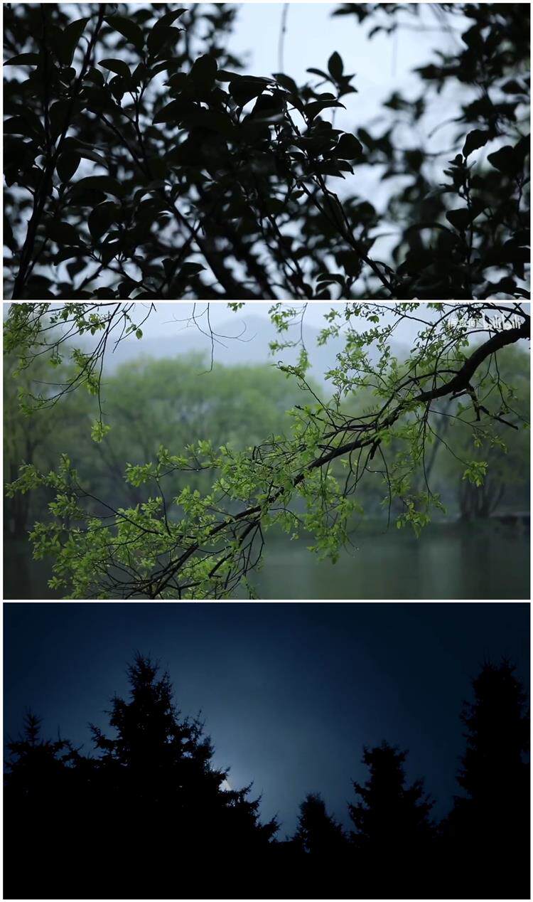 【50款】自然空境寺庙檐廊古风怀旧视频素材 第4张